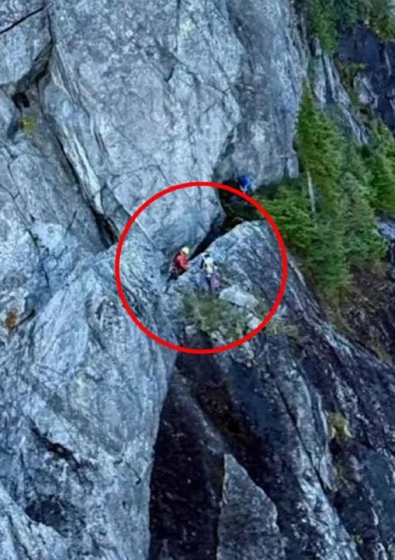 Teenager Rescued by Helicopter After Claude AI Advice Led Him to Dangerous Route - 1