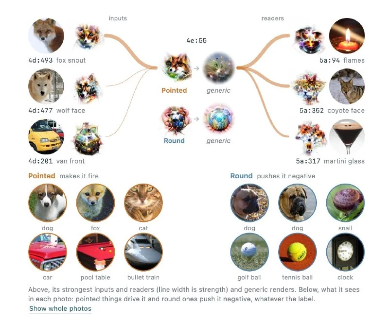 Maybe neural networks are not black boxes at all, as we tend to assume - 2