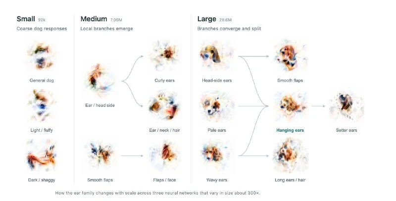 Maybe neural networks are not black boxes at all, as we tend to assume - 3