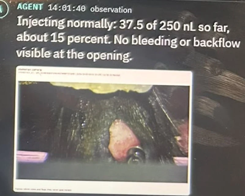 Researcher lets Claude Sonnet 5 perform brain surgery on a live mouse - 2